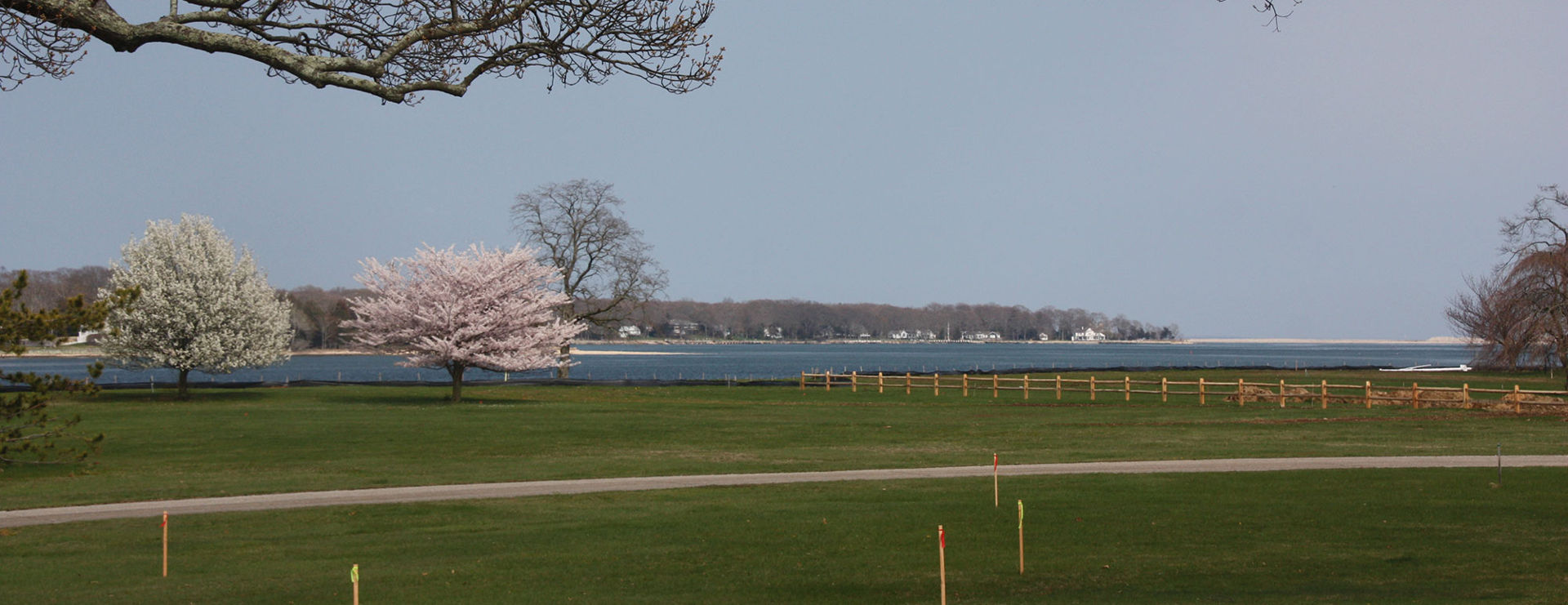 Picture of a docked boat